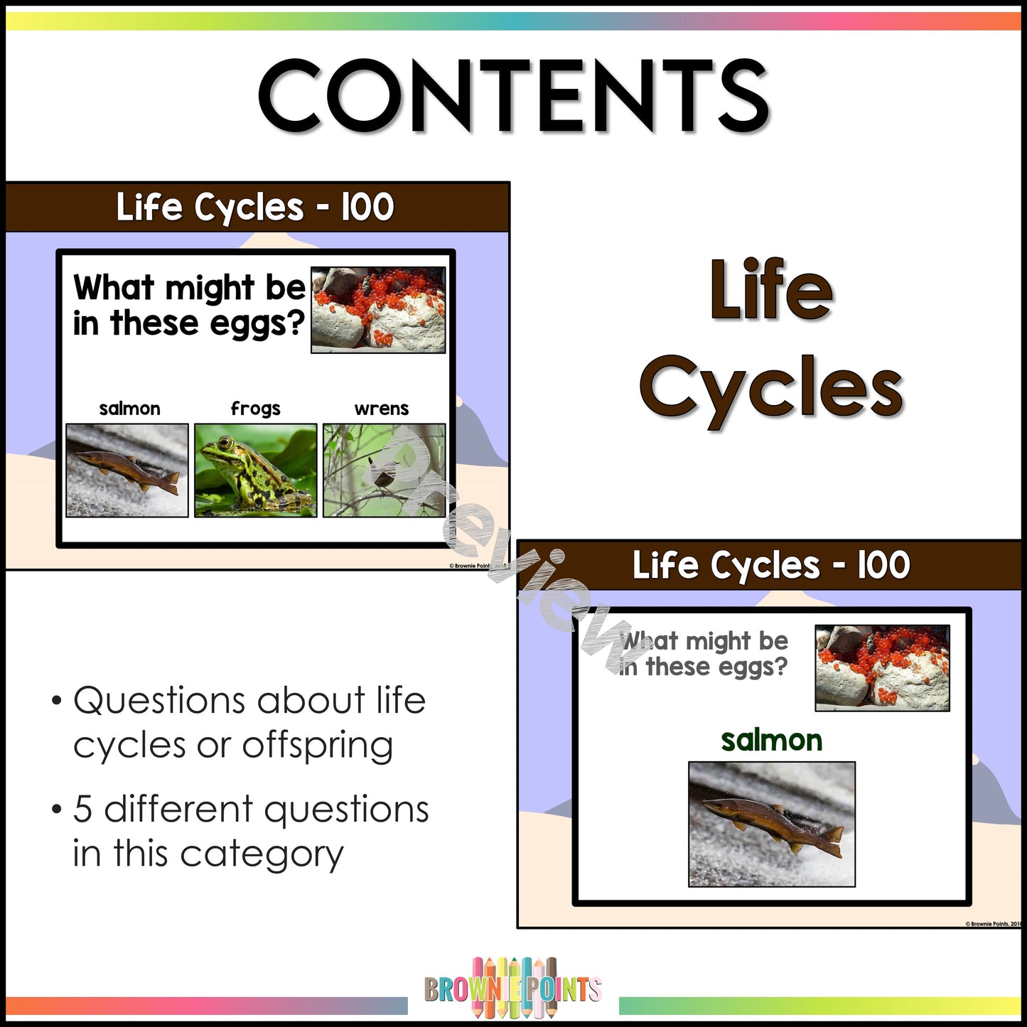 Animal Classifications PowerPoint Games