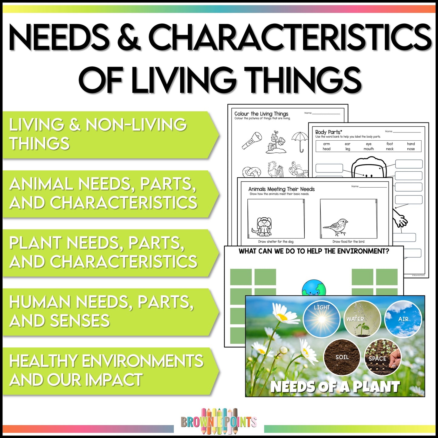 Grade 1 Science Bundle - Ontario Curriculum