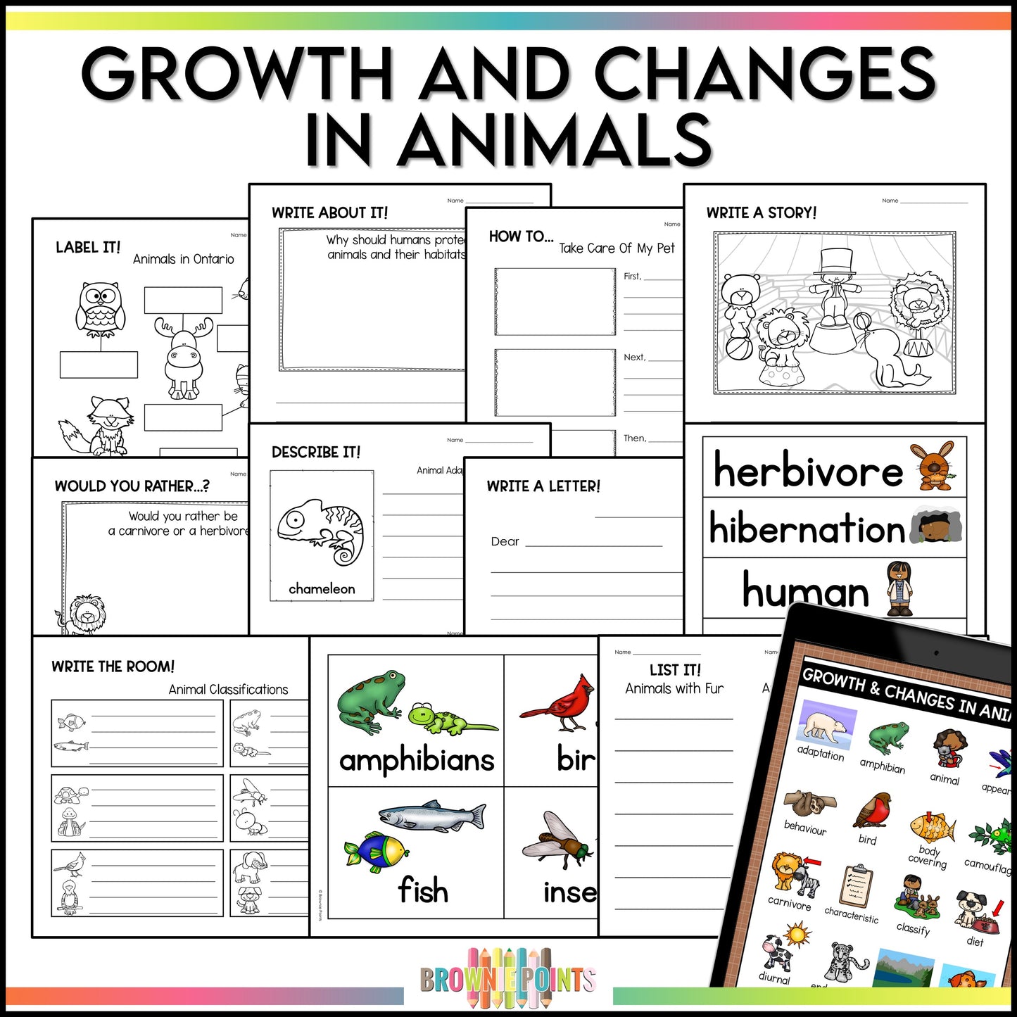 Work on Writing - Grade 2 Ontario Curriculum Bundle