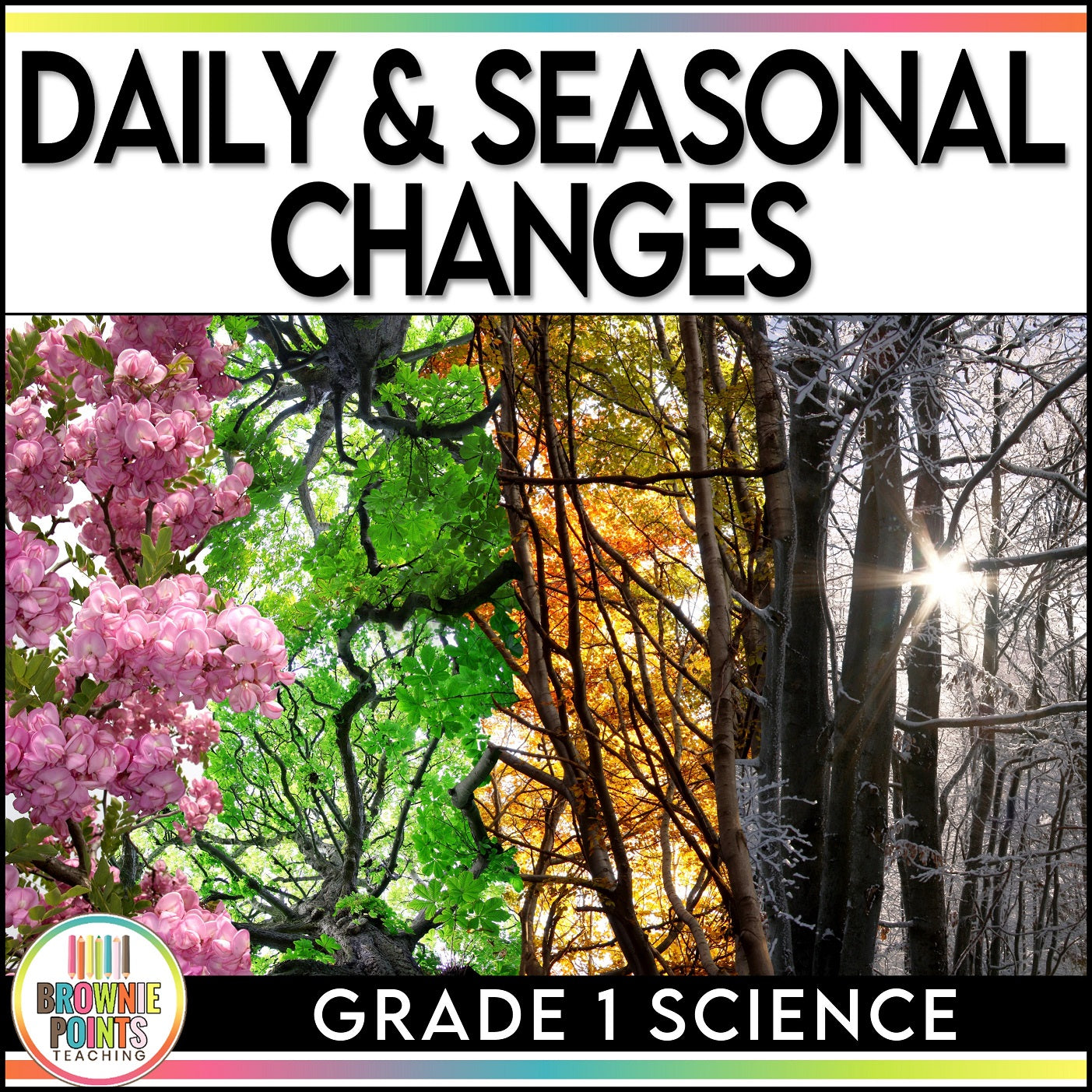 Grade 1 Science Bundle - Ontario Curriculum