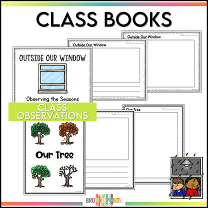 Daily and Seasonal Changes