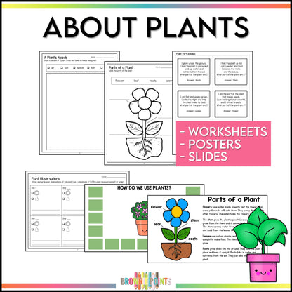 Needs and Characteristics of Living Things